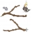 Pet Standing Stick Wild Grape Wood Pole Parrot Cockatiel Parakeet Station Board Bite Claw Grinding Toy Bird Cage Accessories