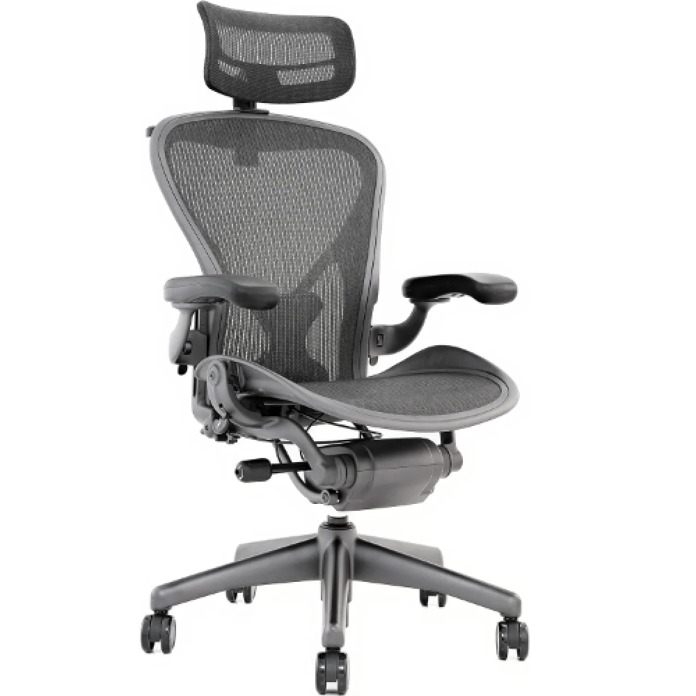Aeron Chair by Herman Miller - Highly Adjustable Graphite Frame - with PostureFit - Carbon Classic (Medium)